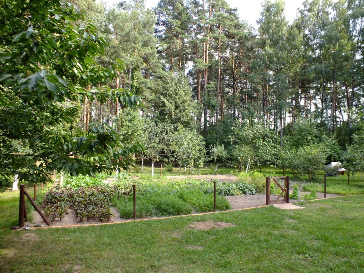 Agroturystyka Przysiolek Trzonki Pisz Exterior photo